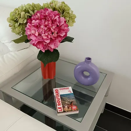 A Casuccia - Petanque * Biguglia (Corsica)